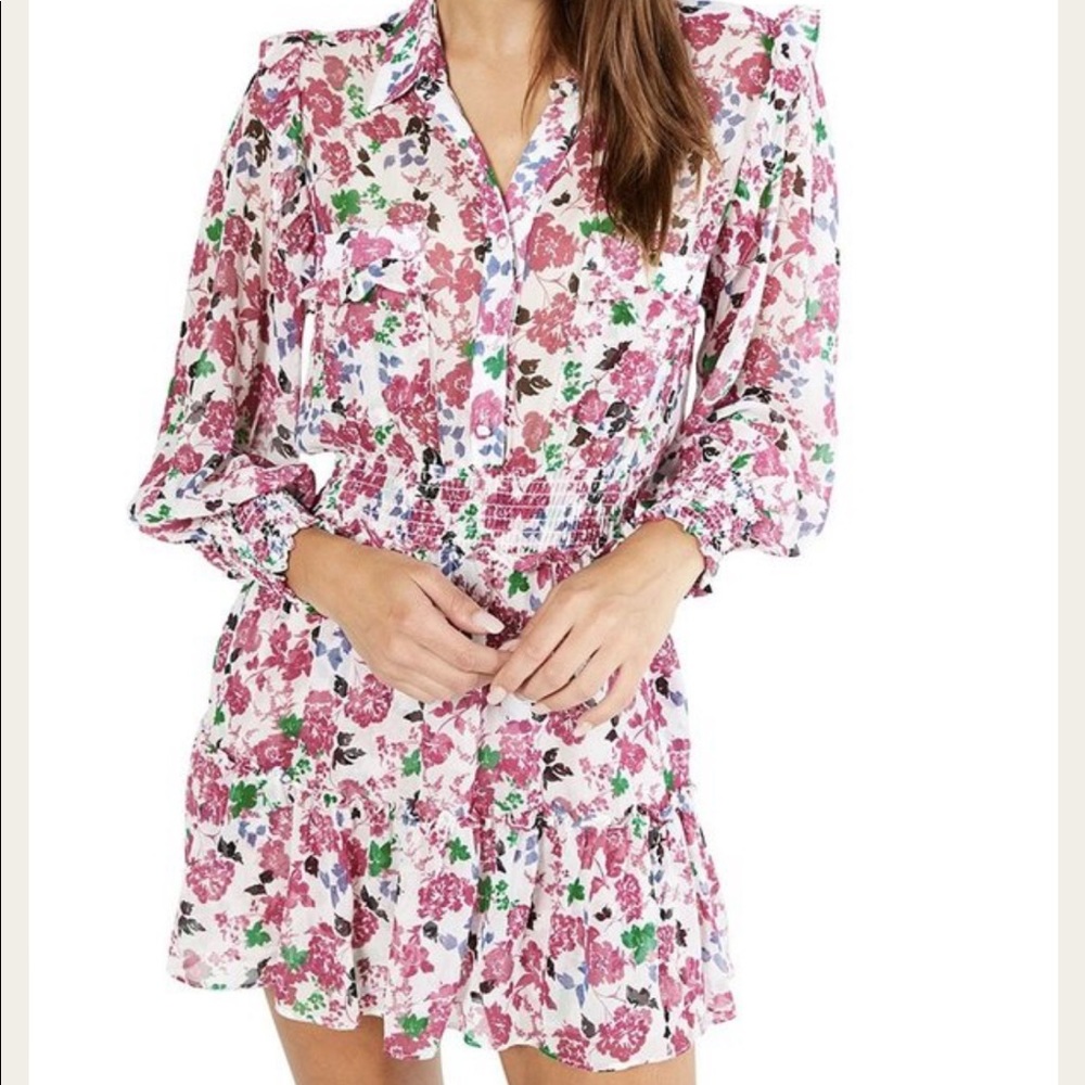 Misa Los Angeles Niamat Dress in Ditsy Floral worn once